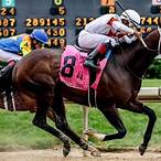 best horse to bet on today